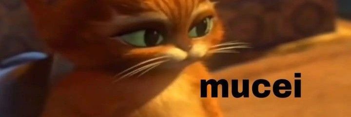 yamalefique's profile banner image