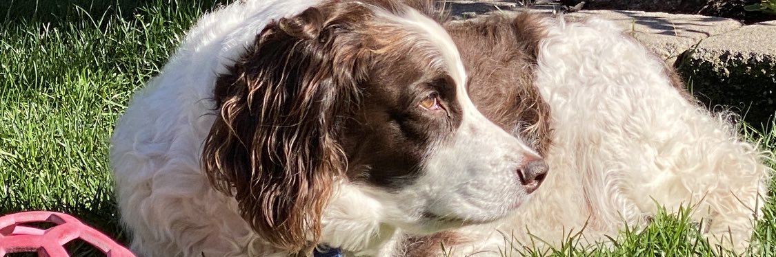 Have to add something here👇🏻 banner