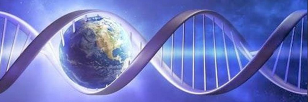 نتائج فحص 🔬 DNA banner