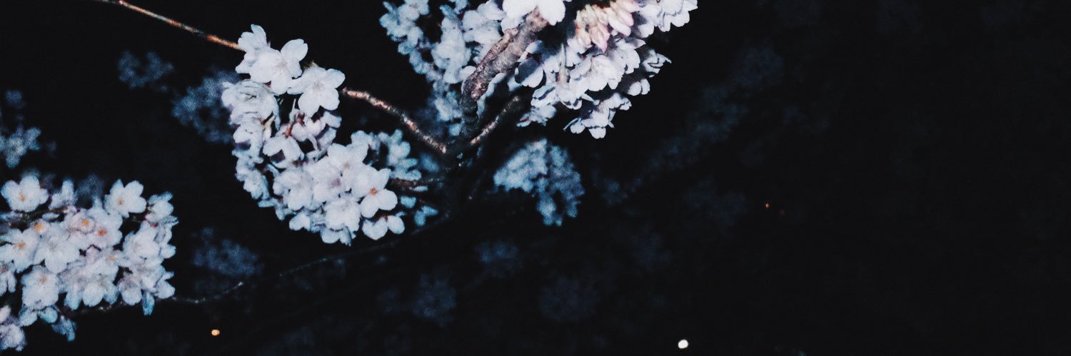 Rocca013's profile banner image