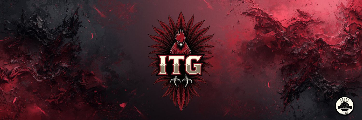 Inside The Gamecocks banner