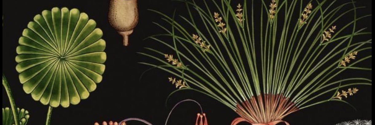 ChaunyWall banner