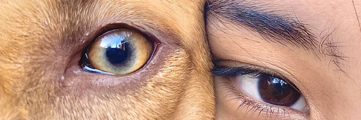 TjDimalanta's profile banner image