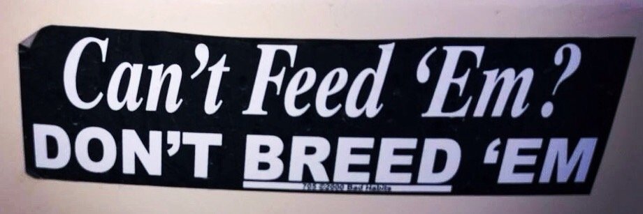 PitKrewKennels's profile banner image