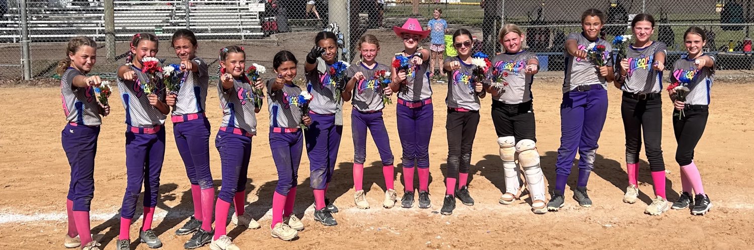 UNICORNS SOFTBALL banner