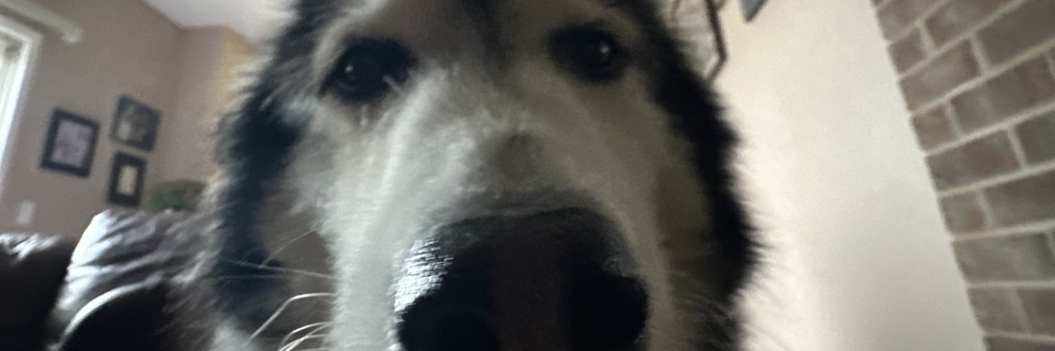 DIMI_Studios's profile banner image