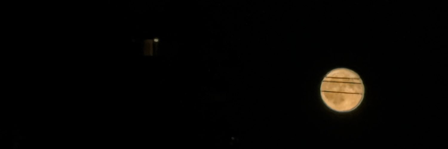 Birch29655171's profile banner image