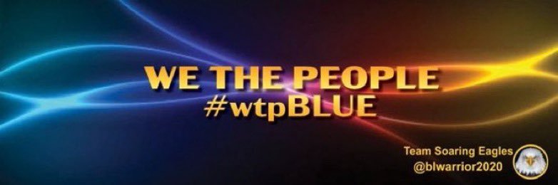 bluewarrior 🇺🇸🐾💙 banner