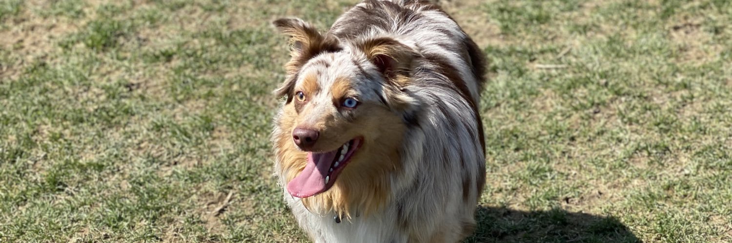 Bobby Stephens banner