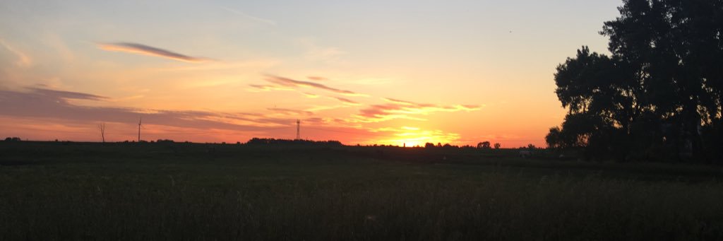 Burmie3's profile banner image