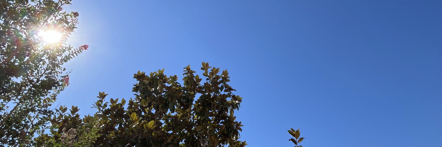 Willy___St's profile banner image