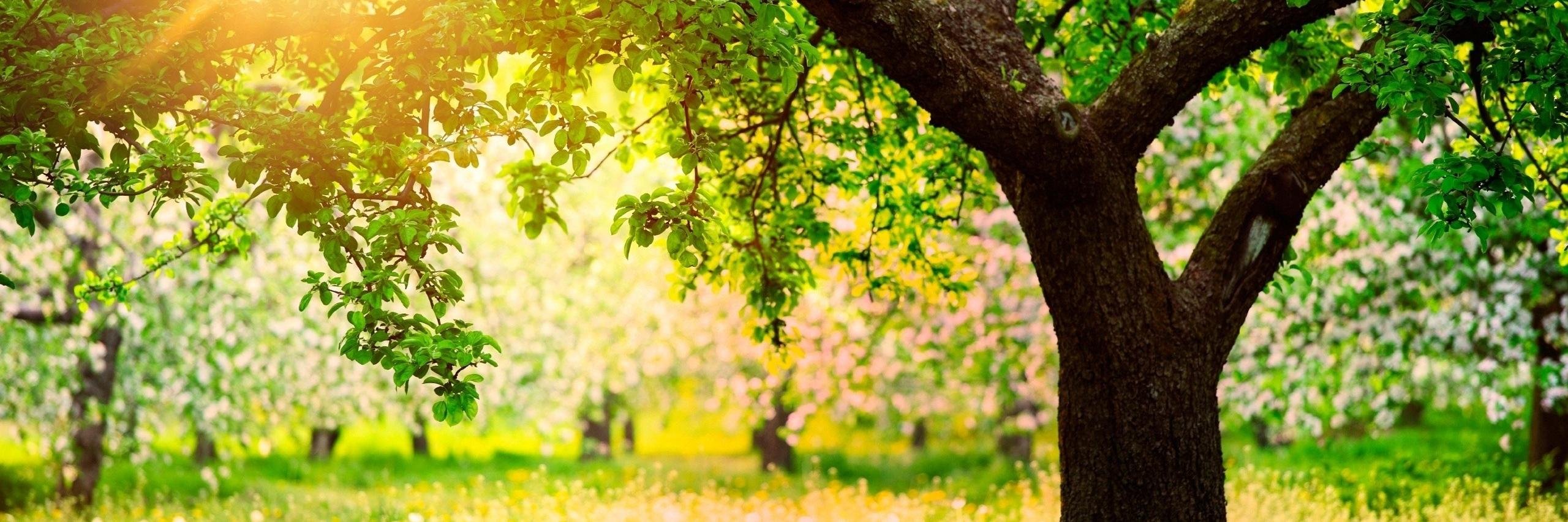 bobrowadam's profile banner image