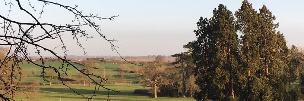 WillLeary's profile banner image