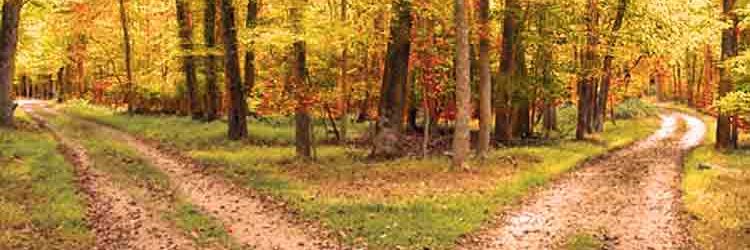 Mme_GrahamBurra's profile banner image