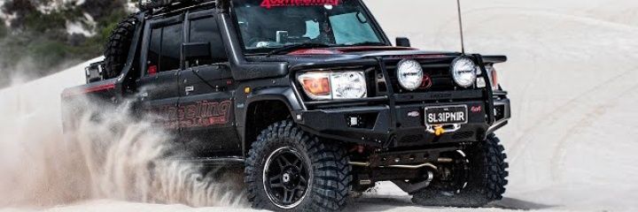 max M.S banner