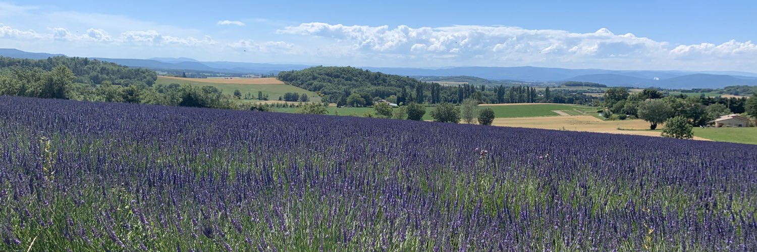 Edwin van der Leeden banner