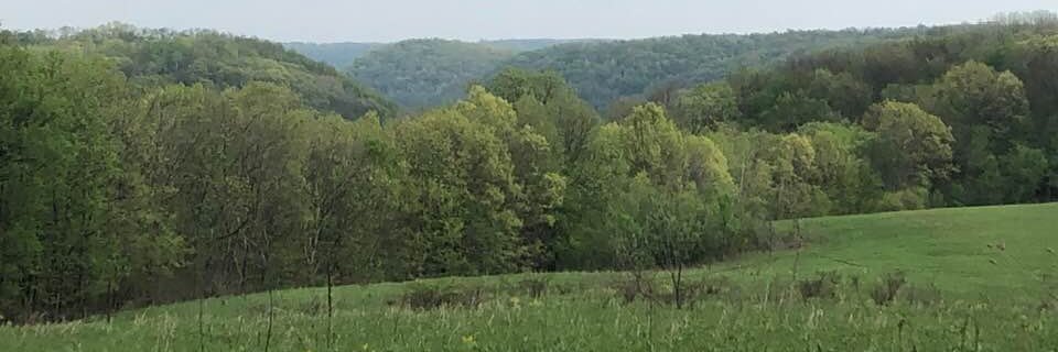Walderness's profile banner image