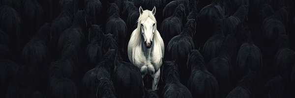 PDdumba Profile Banner