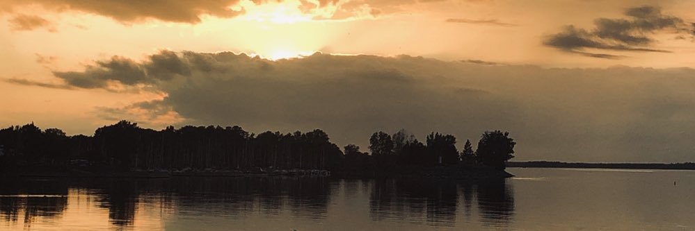 swatinarayan's profile banner image