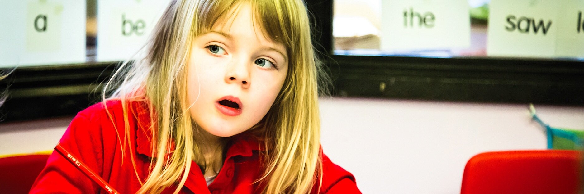 Schofield & Sims banner