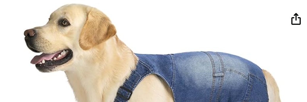 robs old account banner