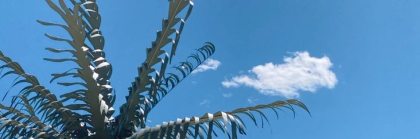 busyhippos's profile banner image