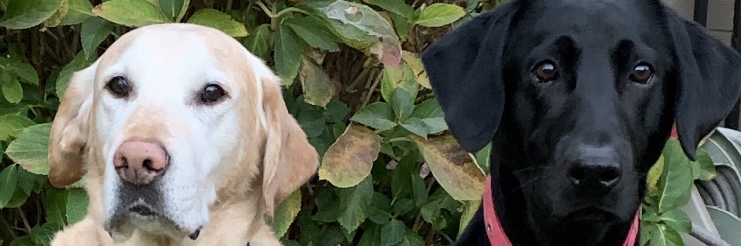 ChristyE45's profile banner image