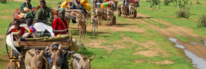 New_Senegal, Sénégal bu Bess banner