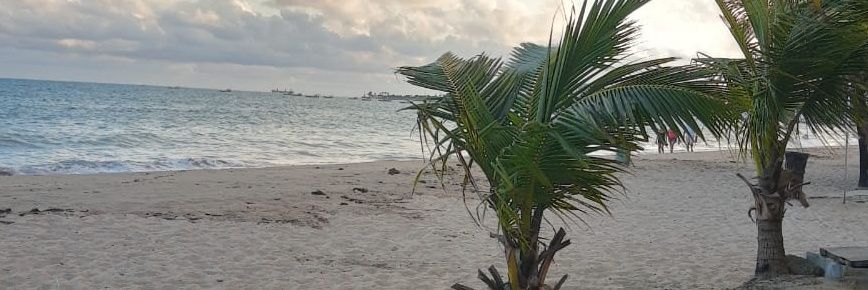 RoIlha3's profile banner image