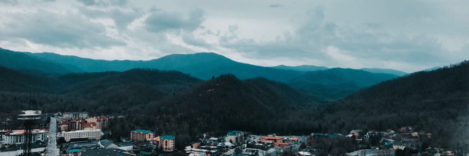 allysbass's profile banner image