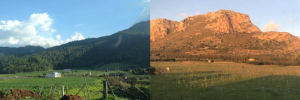 ro_pena Profile Banner