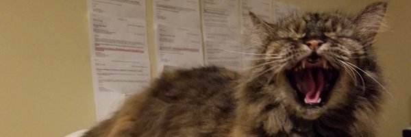 LeahNing Profile Banner