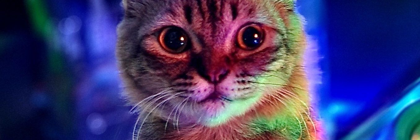 wr3ckitraph's profile banner image