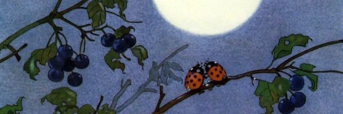 yolupo's profile banner image