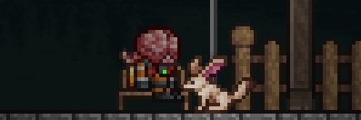 NamesNotAiden banner