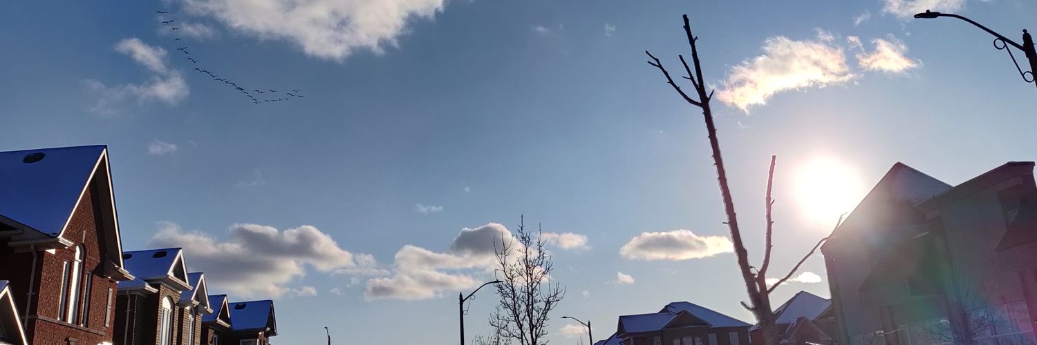 NehalMore's profile banner image