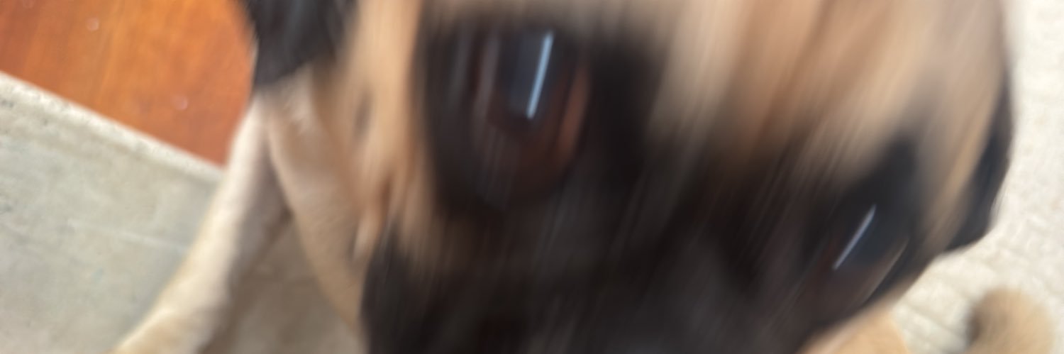 tusugarLary's profile banner image