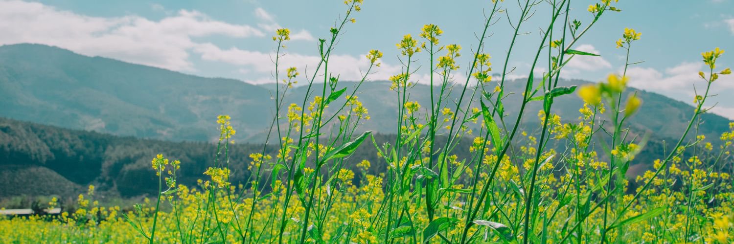 minimalworklife's profile banner image