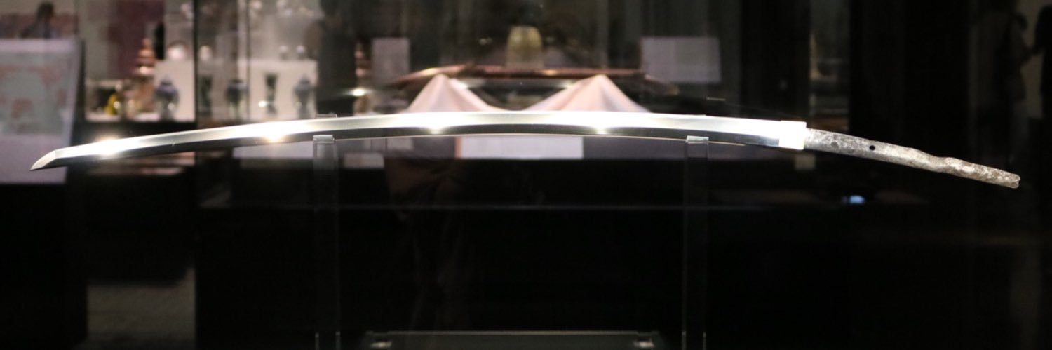 蝶形骨's banner