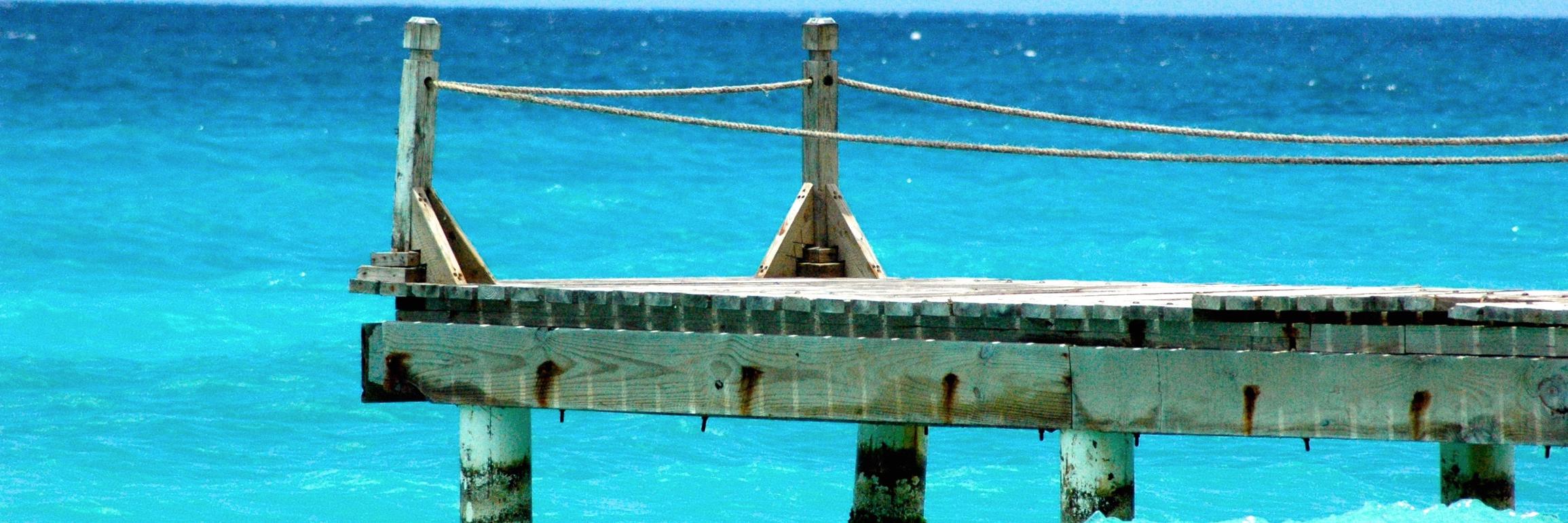 terri needham banner