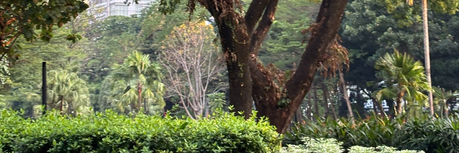Stdchess's profile banner image