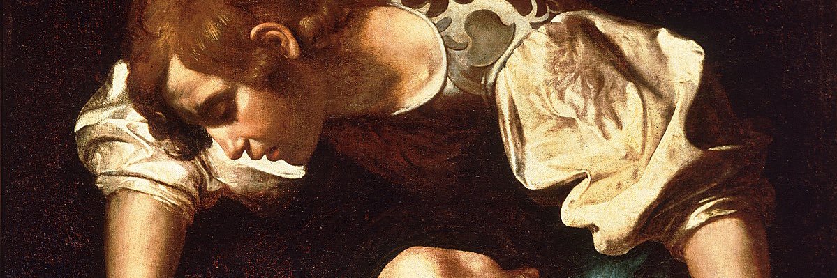 Diplomonógama banner