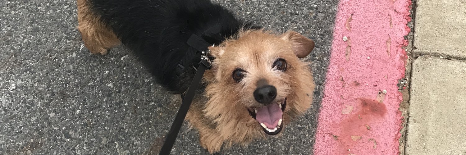 juliaangell0's profile banner image