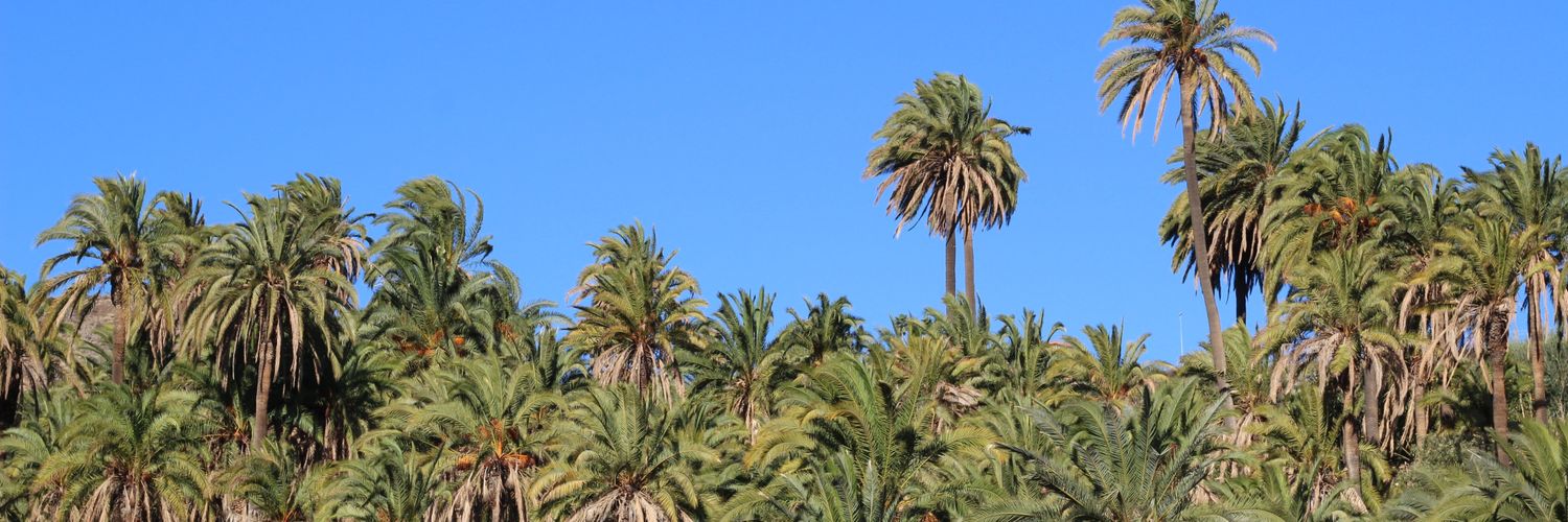 Defensa del Paisaje Gran Canaria banner