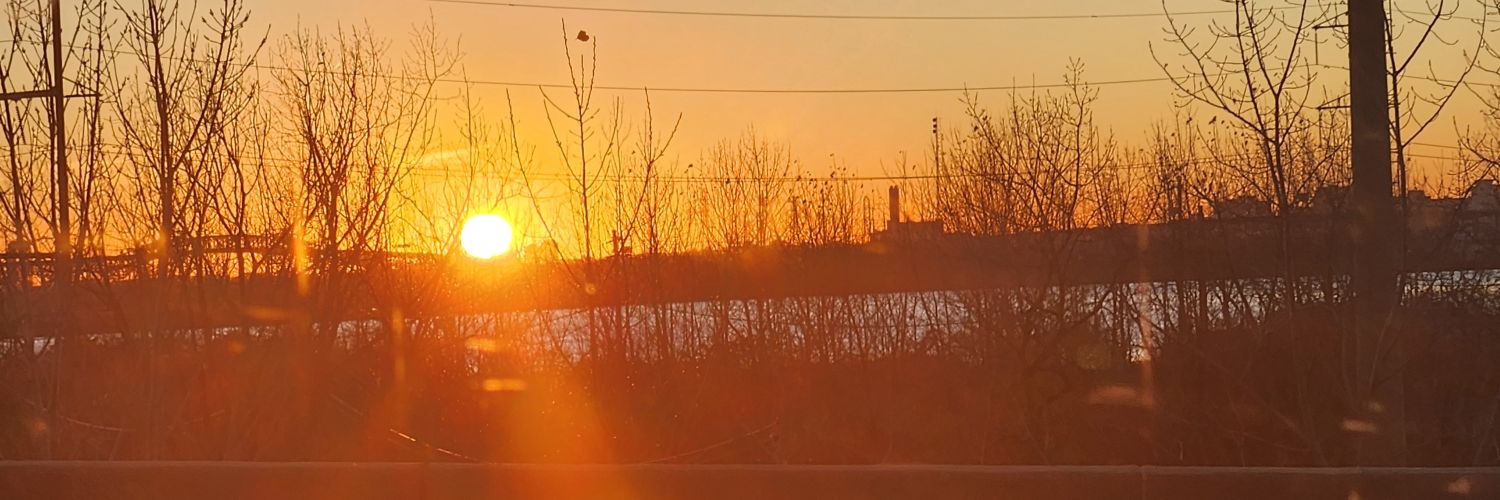 LisaPorter110's profile banner image
