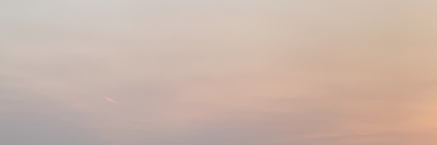 toritilla___'s profile banner image