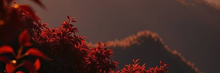 vampiremarshh's profile banner image