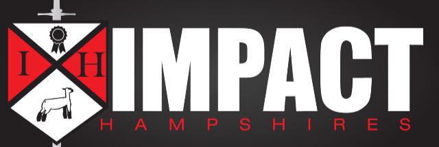 Impacthamps's profile banner image