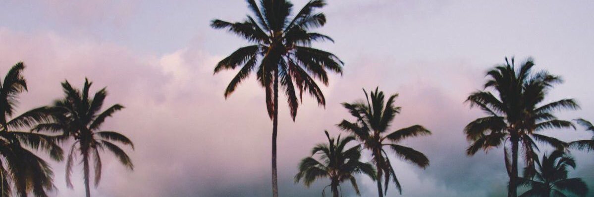 BrittanyCorey1's profile banner image