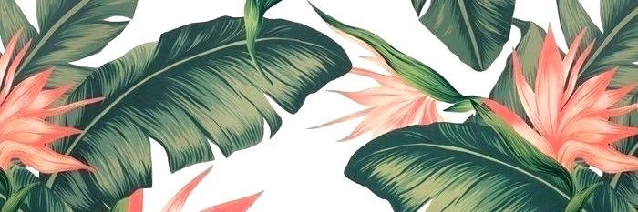 Pro_CockSucker's profile banner image